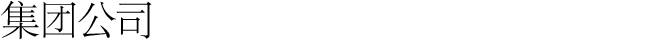 集团公司一览