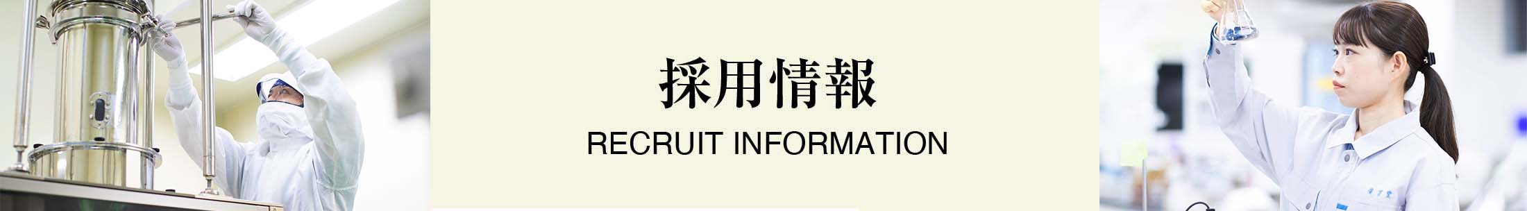 採用情報