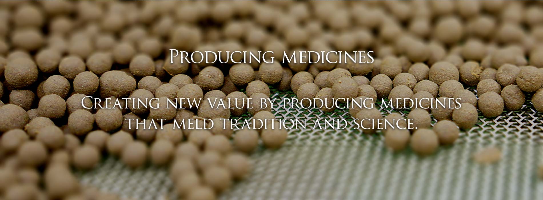 Producing medicines / Creating new value by producing medicines that meld tradition and science.