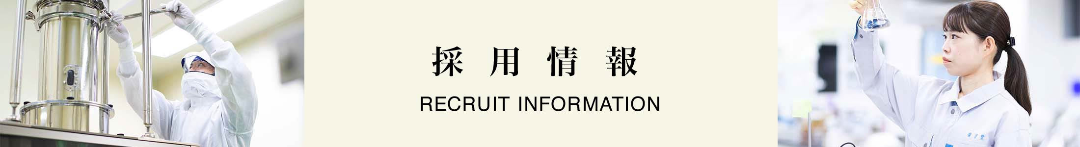 採用情報